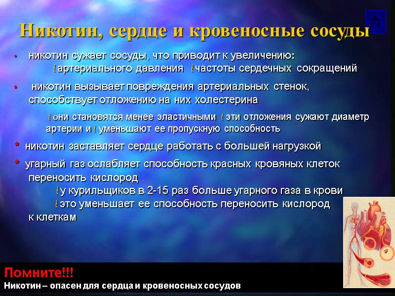 Никотин, сердце и кровеносные сосуды никотин сужает сосуды, что приводит к увеличению:  